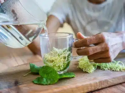 la décoction et l’infusion 